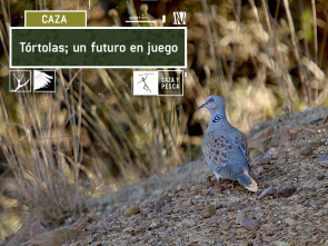 Imagen de Tórtolas: Un futuro en juego - 2