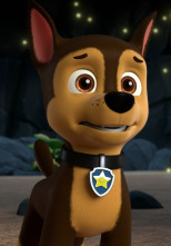 Imagen de La Patrulla Canina (T10): La patrulla en la selva descubre la Selva Oculta - 1