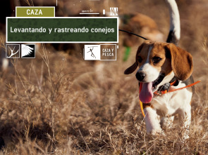 Imagen de Levantando y rastreando conejos - 2