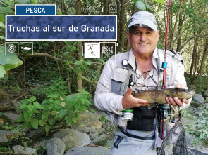 Imagen de Truchas al sur de Granada - 2