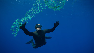 Imagen de Ballenas con Steve...: Cazadoras - 6