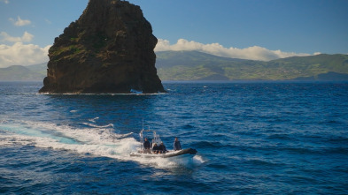 Imagen de Ballenas con Steve...: Cazadoras - 7