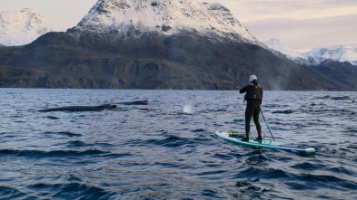 Imagen de Ballenas con Steve...: Viajeras - 14