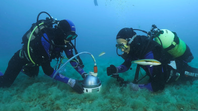 Imagen de ¿Preparados para el Tsunami? - 6