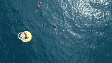 Imagen de ¿Preparados para el Tsunami? - 8
