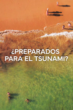 Imagen de ¿Preparados para el Tsunami? - 1
