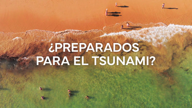 Imagen de ¿Preparados para el Tsunami? - 2