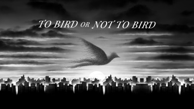 Imagen de To Bird or Not To Bird - 2