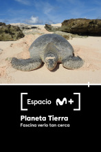 Imagen de Espacio M+ (T1): Planeta Tierra. Fascina verlo tan cerca - 1