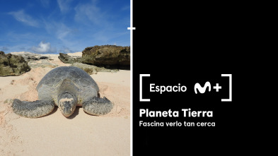 Imagen de Espacio M+ (T1): Planeta Tierra. Fascina verlo tan cerca - 2