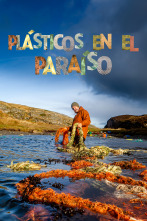 Imagen de Plásticos en el paraíso - 1