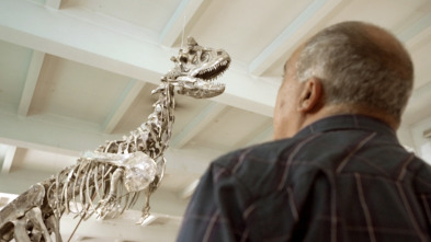 Imagen de Los dinosaurios más desconocidos - 4