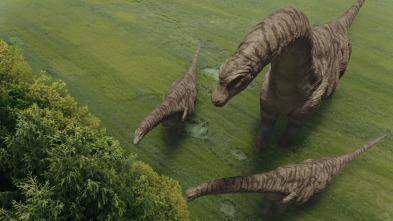 Imagen de Los dinosaurios más desconocidos - 5