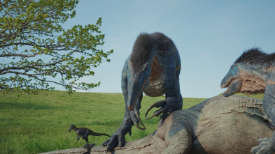 Imagen de Los dinosaurios más desconocidos - 7