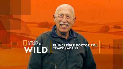 Imagen de El Increíble Doctor Pol: La gran Athena - 2