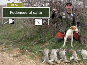 Imagen de Podencos al salto - 2