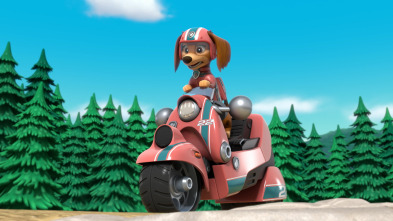 Imagen de La Patrulla Canina (T10): El rescate en la montaña de Liberty / La patrulla salva a la granjera Yumi voladora - 1