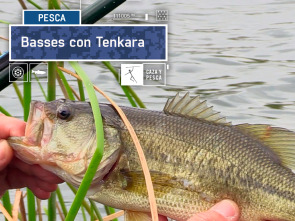 Imagen de Basses con Tenkara - 2