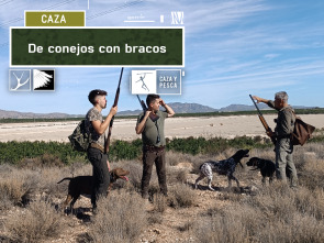 Imagen de De conejos con bracos - 2