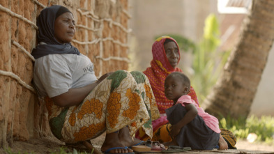 Imagen de La batalla contra la malaria - 6