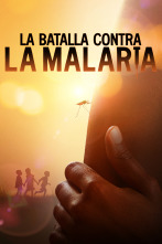 Imagen de La batalla contra la malaria - 1
