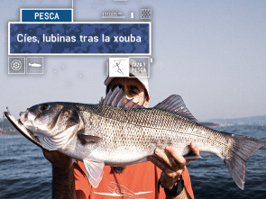 Imagen de Cies, lubinas tras la xouba - 2