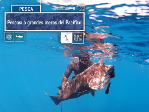 Imagen de Pescasub, grandes meros del Pacífico - 2