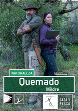 Imagen de Quemado (T1): Mildred - 1