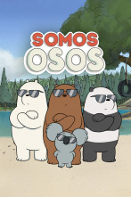 Imagen de Somos osos (T4) - 1