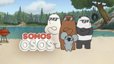 Imagen de Somos osos (T4) - 2
