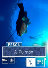 Imagen de A Pulmón (T3) - 1