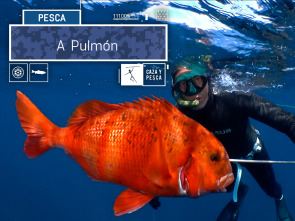 Imagen de A Pulmón (T3) - 2