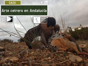 Imagen de Arte cetrero en Andalucía - 2