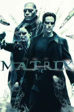 Imagen de Matrix - 1