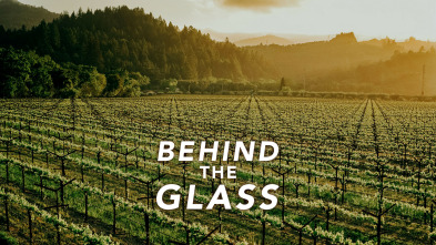 Imagen de Behind the glass (T1) - 2