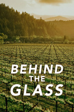 Imagen de Behind the glass (T1) - 1