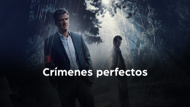 Imagen de Crímenes perfectos (T1) - 2