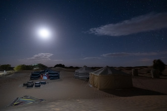 Imagen de Mamíferos: En la noche - 7