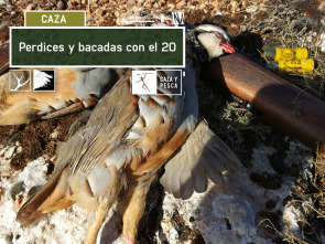 Imagen de Perdices y becadas con el 20 - 2