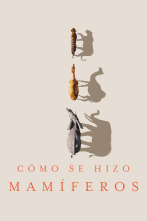 Imagen de Cómo se hizo Mamíferos  - 1
