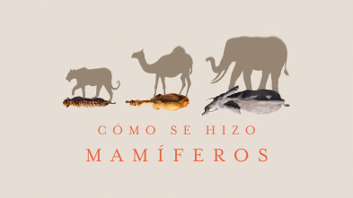 Imagen de Cómo se hizo Mamíferos  - 2