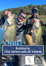 Imagen de Andalucía: Una temporada de basses (T1) - 1