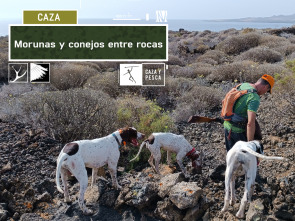Imagen de Morunas y conejos entre rocas - 2