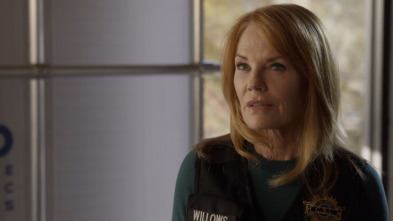 Imagen de CSI: Vegas (T3): Ep.5 Ha sido la automatización - 2