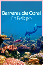 Imagen de Barreras de coral en peligro - 1