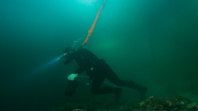 Imagen de La pesca del oro (T6): Oro frío - 2