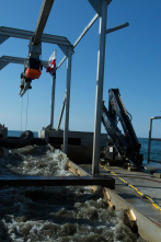 Imagen de La pesca del oro (T5): Tocando fondo - 1