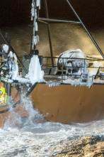 Imagen de Pesca radical: Contra la ley - 1