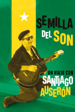 Imagen de Semilla del son - 1