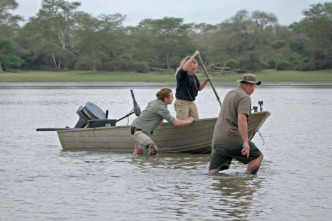 Imagen de Hipopótamos y...: Cocodrilos con Steve Backshall II - 9